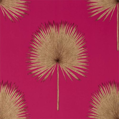 Fan Palm 216638